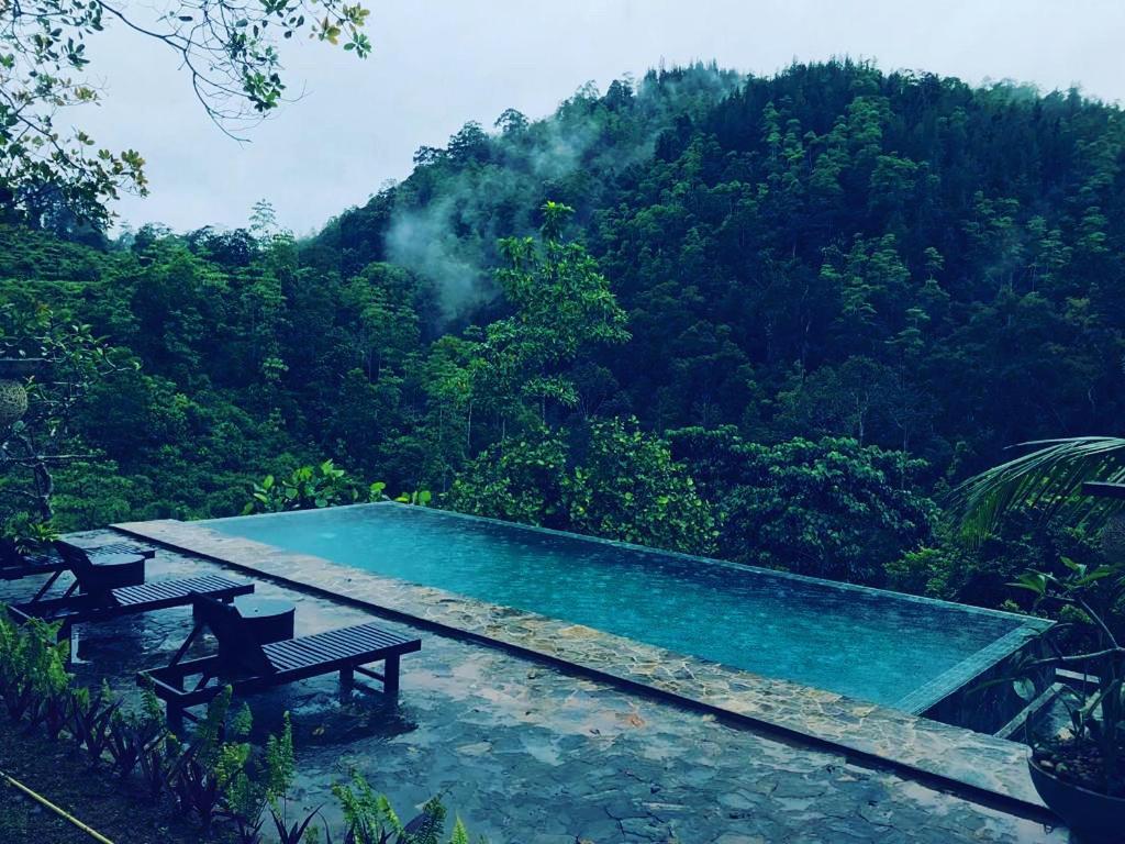 Jansen'S Bungalow Sinharaja Rainforest Retreat Kudawe ภายนอก รูปภาพ