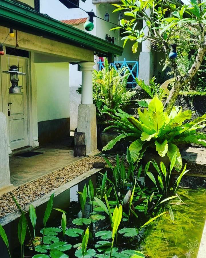 Jansen'S Bungalow Sinharaja Rainforest Retreat Kudawe ภายนอก รูปภาพ