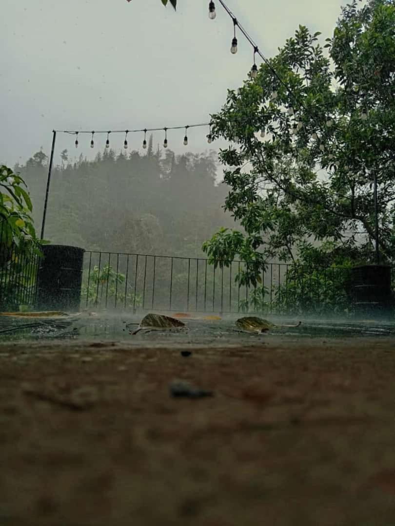 Jansen'S Bungalow Sinharaja Rainforest Retreat Kudawe ภายนอก รูปภาพ